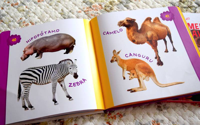 livros-infantis-animais