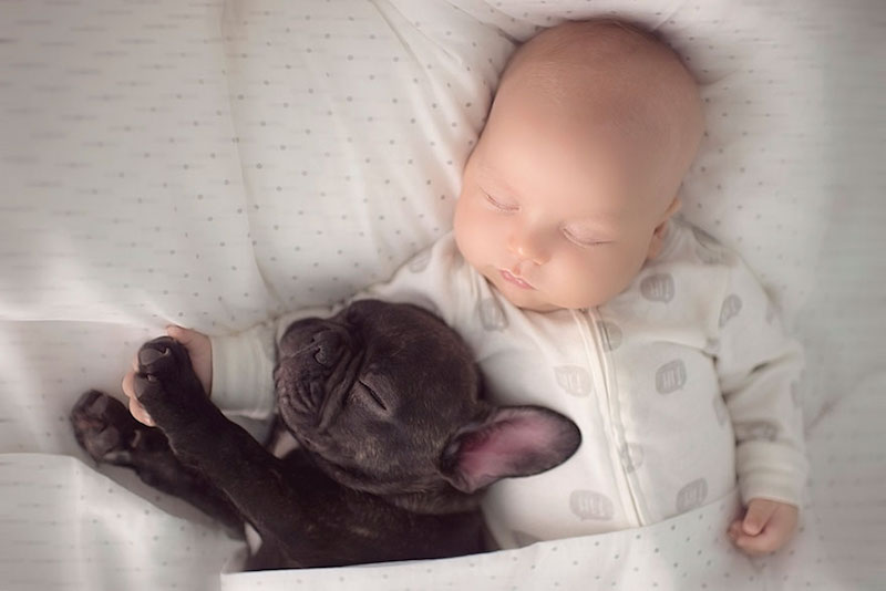 bebê-e-cachorro-amizade