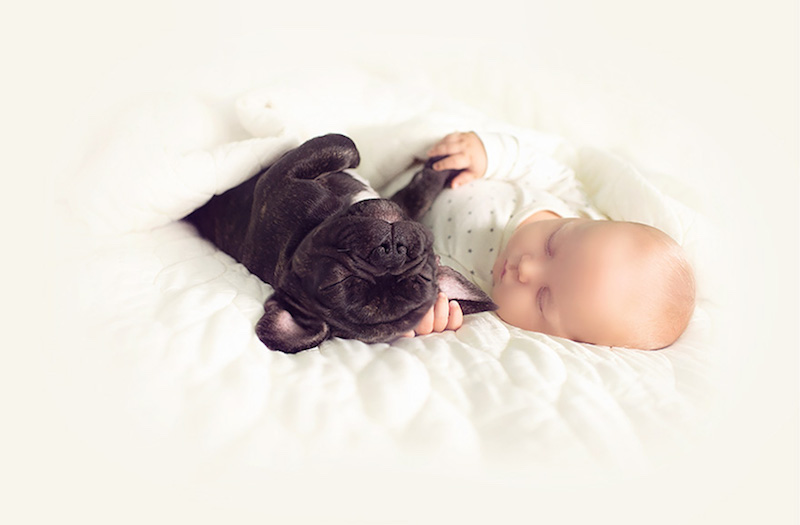 bebê-e-cachorro-soninho