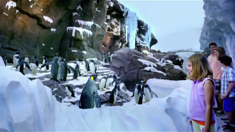 roteiro-em-orlando-penguin