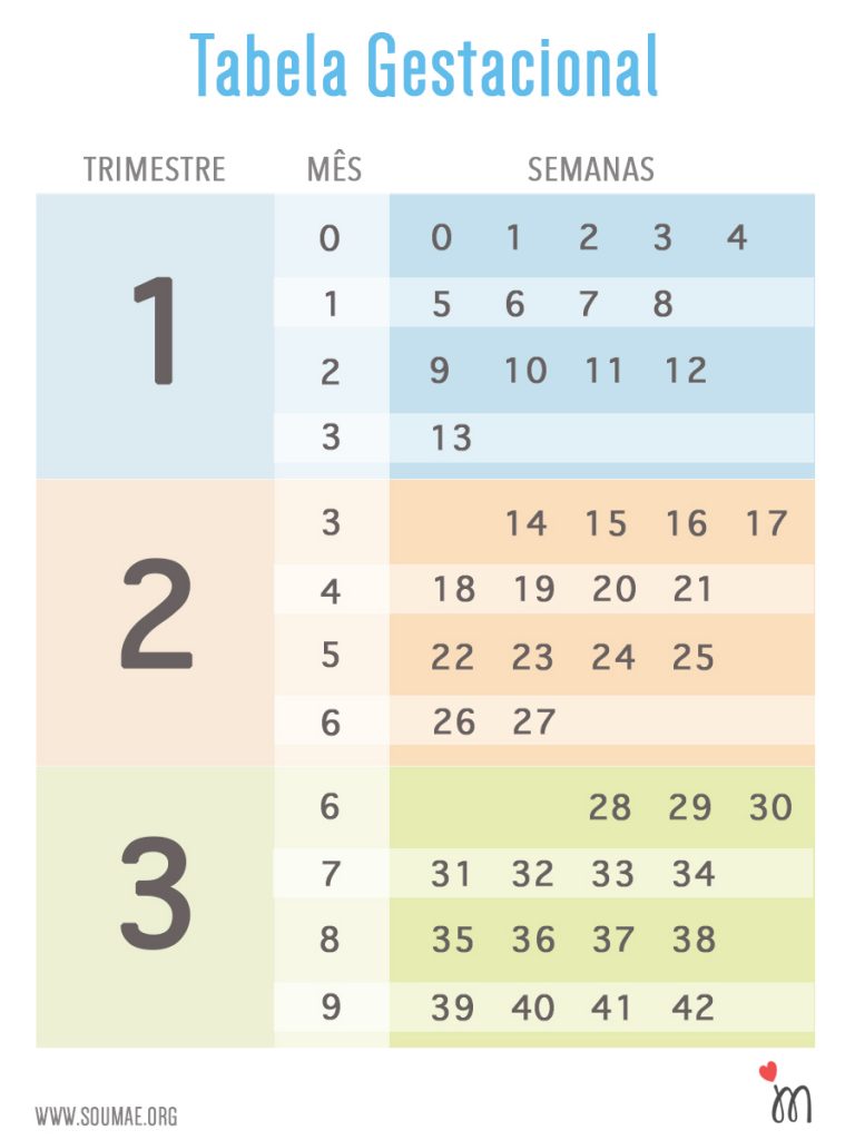 Aprenda a contar a gravidez em semanas (tem tabela gestacional para te
