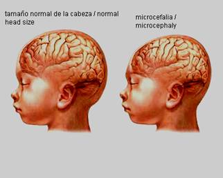 Imagem: Pinterest