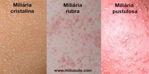 www.mdsaude.com