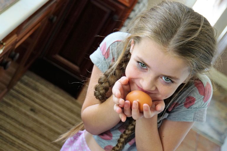 alimentacao-infantil-ovo-barato-nutritivo
