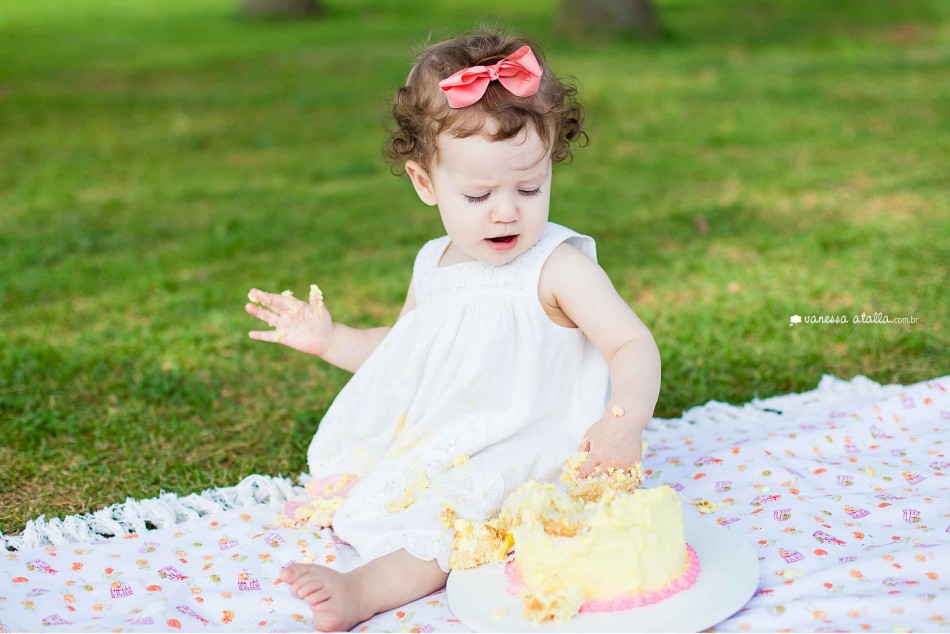dicas para ensaio smash the cake