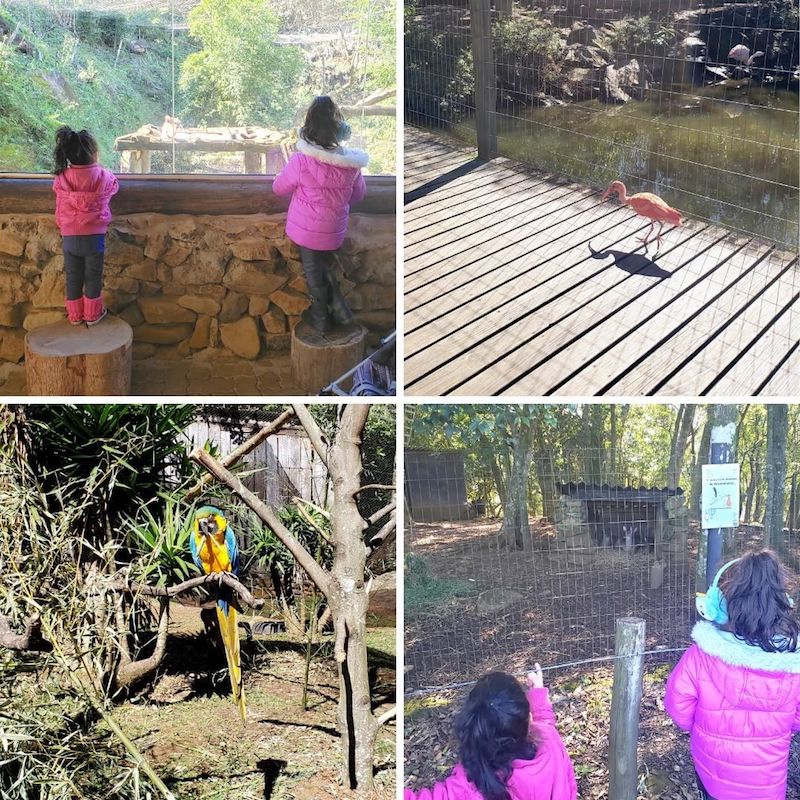 lugares para ir com crianças em Gramado