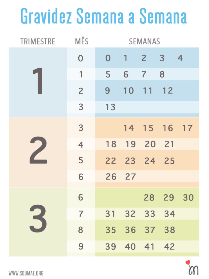 Calendário de Gravidez Semanas x Meses (para ajudar você!)