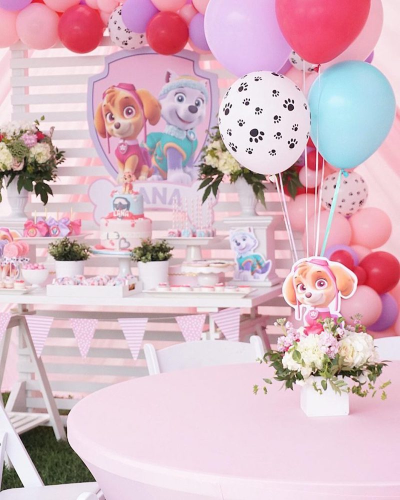 Festa Infantil Patrulha Canina rosa