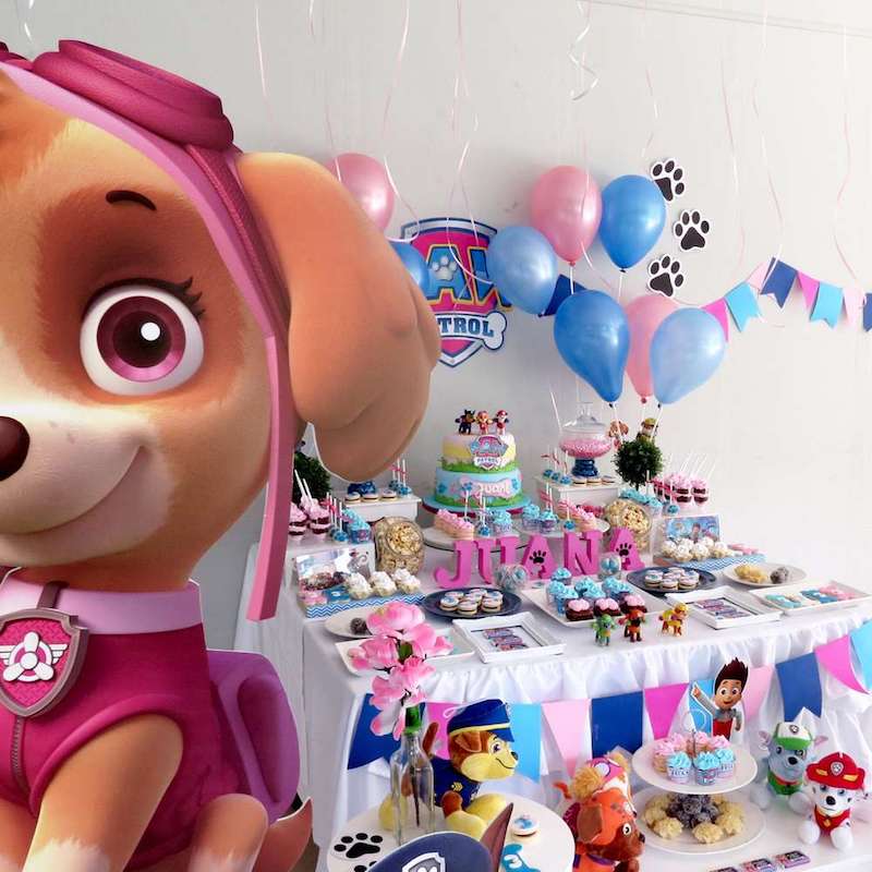 Festa Infantil Patrulha Canina para meninas