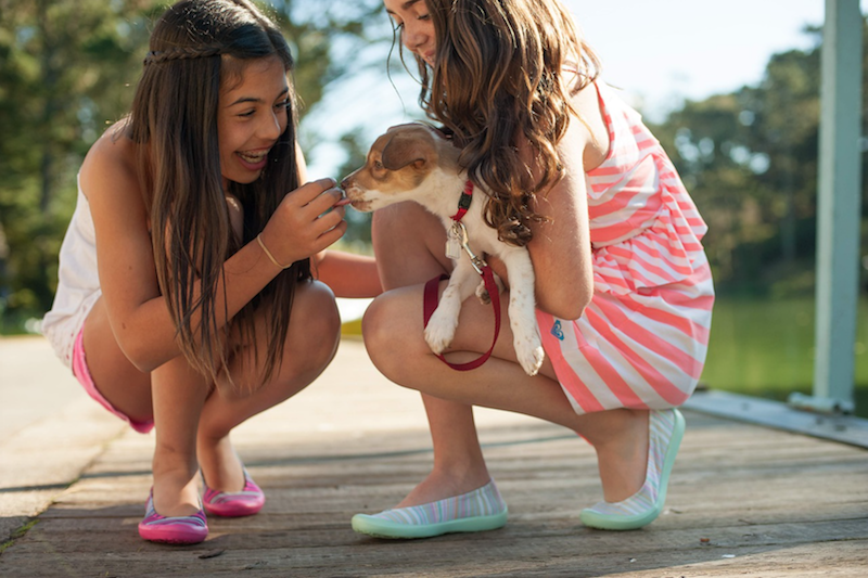 animais de estimação na infância