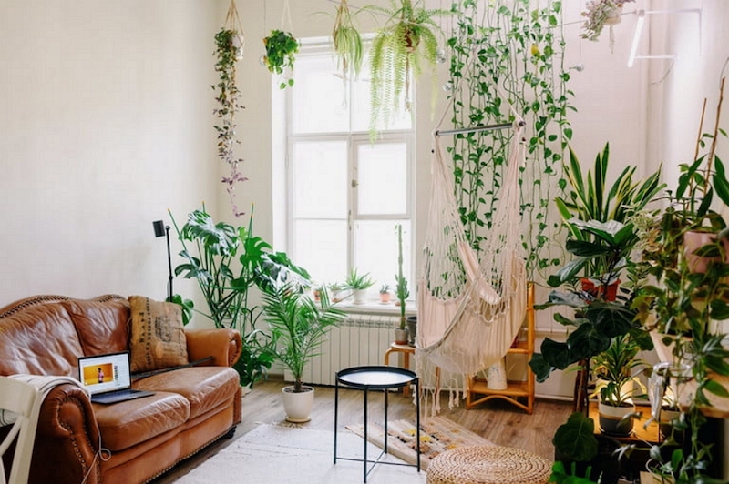 urbanjungle