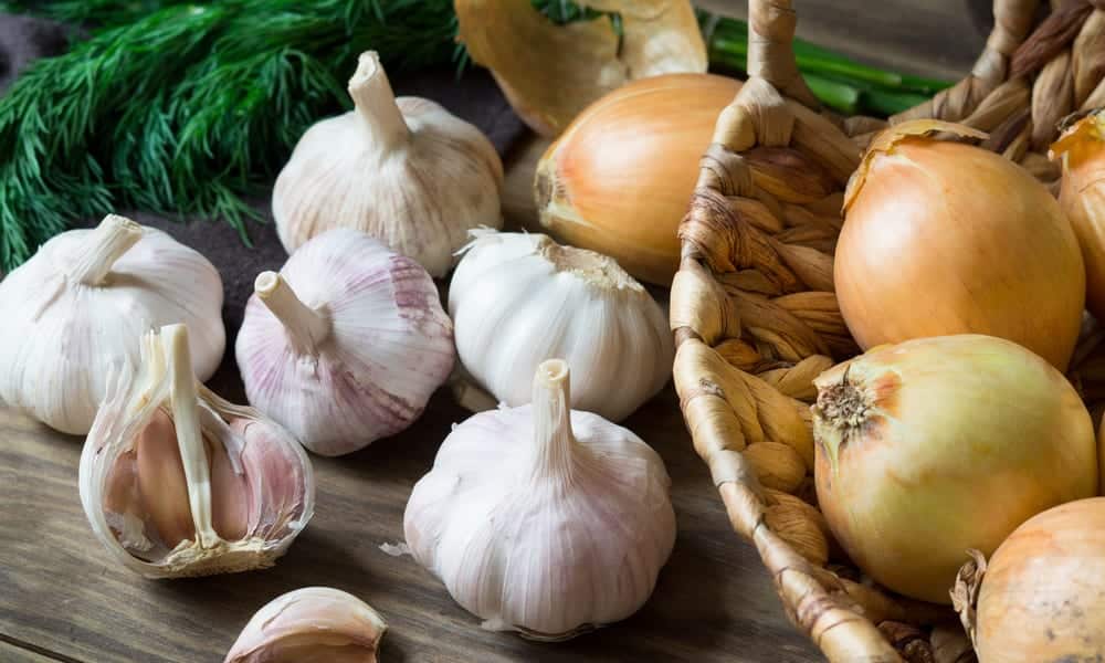 causas do mau hálito em crianças